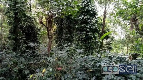 One Acre land for sale at Goolikkadavu near Attappadi in Palakkadu district 1 