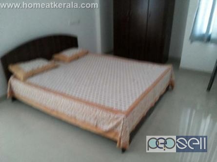 Weekly month rent in Kochi Fully furnished 4 BHk in kaloor 0 