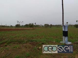 Agricultural land for sale in Coimbatore 0 