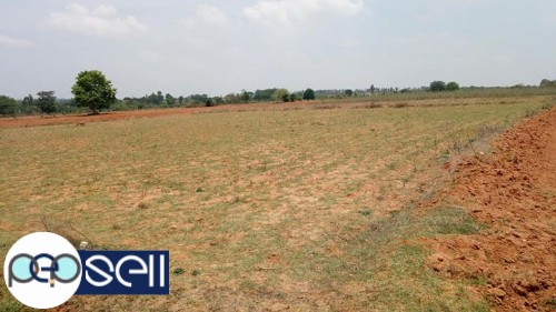Agricultural land for rent at Hunsur 0 