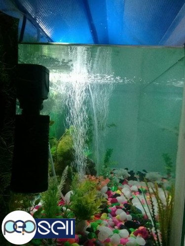 Aquarium tank of 3 feet length for sale 0 