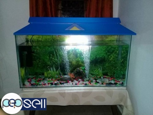 Aquarium tank of 3 feet length for sale 1 