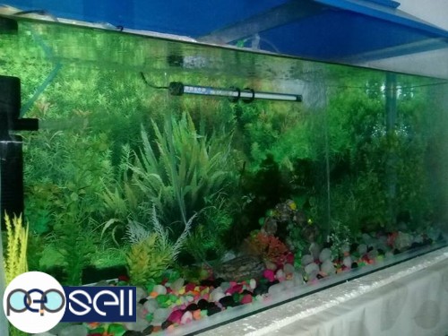 Aquarium tank of 3 feet length for sale 2 