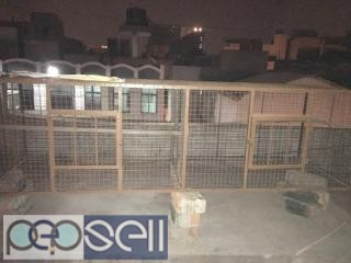 Bird Cage for sale in Bangalore 0 