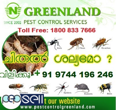 Pest Control & Termite Control 0 