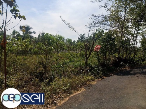 Plot for sale at Ottapalam 2 