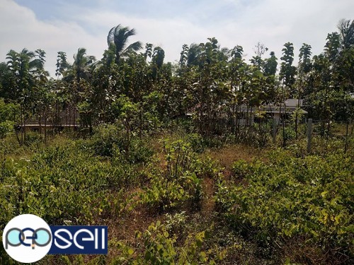 Plot for sale at Ottapalam 5 