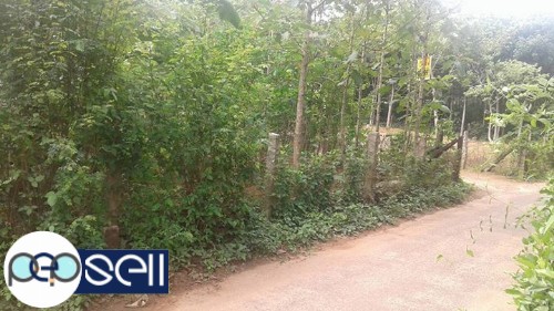 11.25 cent land for sale 1 