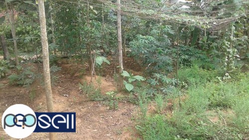11.25 cent land for sale 3 