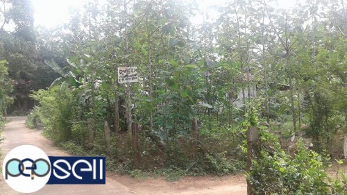 11.25 cent land for sale 4 