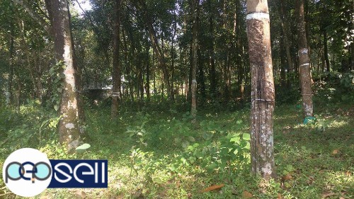 22 cents of land for sale in Kothamangalam Mattom 0 