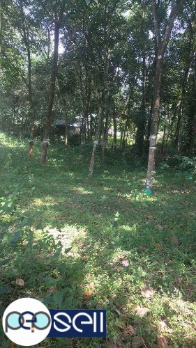 22 cents of land for sale in Kothamangalam Mattom 1 