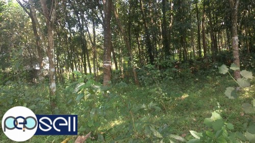 22 cents of land for sale in Kothamangalam Mattom 2 