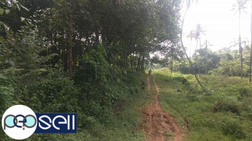 22 cents of land for sale in Kothamangalam Mattom 3 