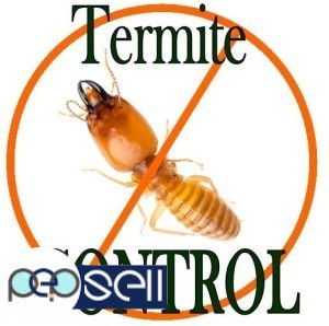  Eco Pest India ,Termite And Pest Control Services Kannur,Kasaragod,Ernakulam, Pappinisserry,Pariyaram,Pattiom,Payyanur,  Payangadi, Eco Pest India ,T 0 