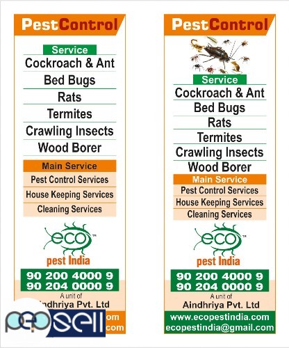  Eco Pest India ,Termite And Pest Control Services Kannur,Kasaragod,Ernakulam, Pappinisserry,Pariyaram,Pattiom,Payyanur,  Payangadi, Eco Pest India ,T 1 