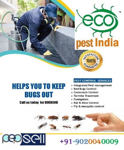  Eco Pest India ,Termite And Pest Control Services Kannur,Kasaragod,Ernakulam, Pappinisserry,Pariyaram,Pattiom,Payyanur,  Payangadi, Eco Pest India ,T 2 