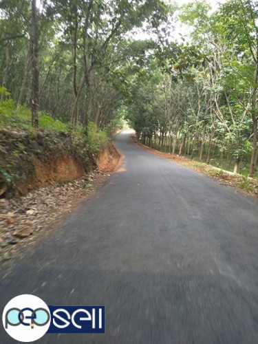 Rubber plots 2.40 acers for sale Lakkattoor, India 2 