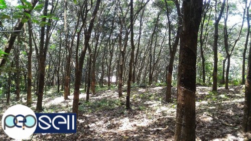 Rubber plots 2.40 acers for sale Lakkattoor, India 3 