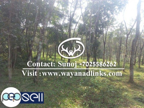 4 Acre rubber land for sale at Kenichira-20 Lakhs/Acre-Wayanad  0 