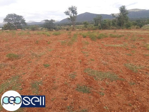 Agriculture farming land for sale 0 