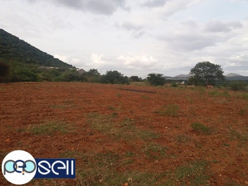 Agriculture farming land for sale 1 