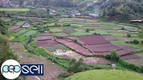 Munnar Vattavada 20 cent to 5 acre land for sale. ideal to tourism 0 