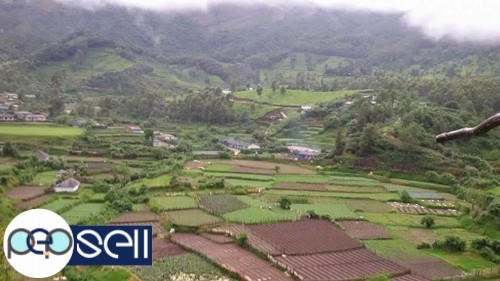Munnar Vattavada 20 cent to 5 acre land for sale. ideal to tourism 1 