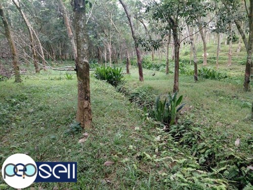 4.25 acre rubber plantation for sale 0 