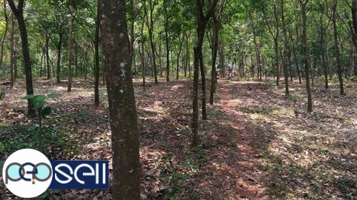 2 Acre rubber plantation for sale near Muvattupuzha Anicadu 0 