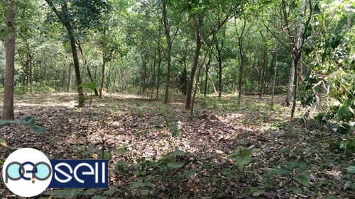2 Acre rubber plantation for sale near Muvattupuzha Anicadu 1 