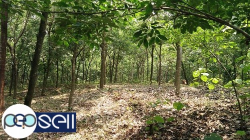 2 Acre rubber plantation for sale near Muvattupuzha Anicadu 2 