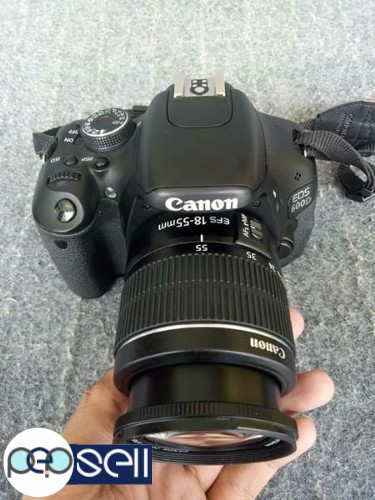Canon 600 d 1 month old 55 250 lense 3 