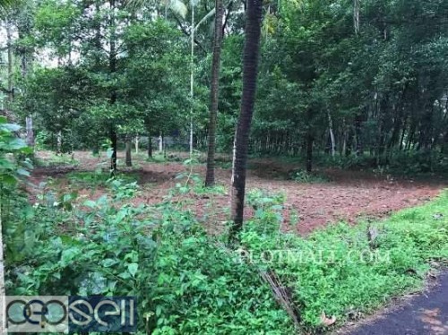 House Plot for sale near Cochin Airport at cheap price 1 