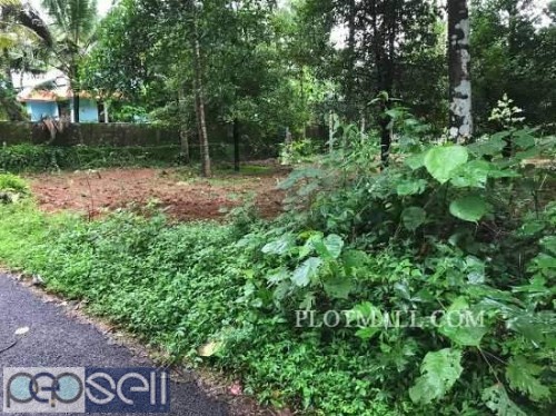 House Plot for sale near Cochin Airport at cheap price 2 