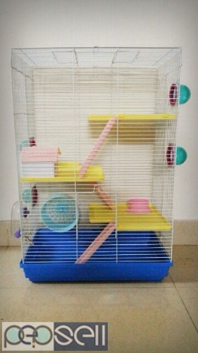 Imported Hamster cages with toys for sale in cochin. 1 
