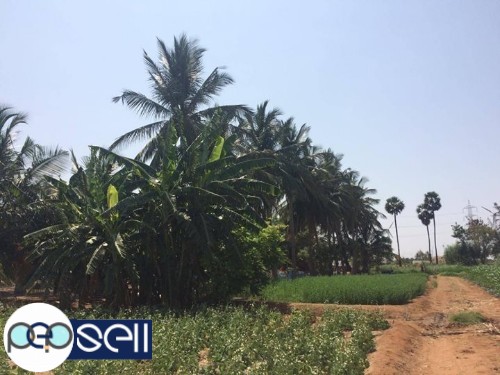 8 acre Agriculture land for sale 0 