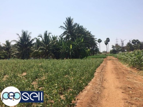 8 acre Agriculture land for sale 1 