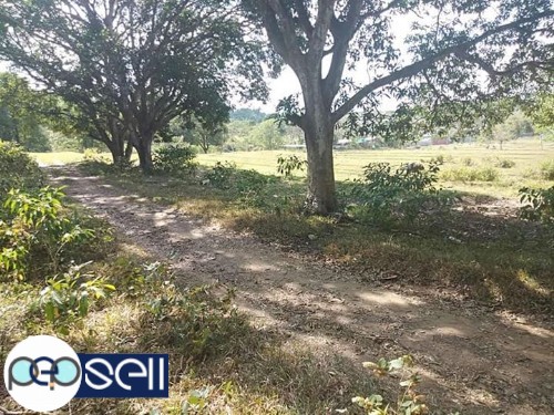 AGRI-RESIDENTIAL LOT IN BATANGAS FOR SALE 2 