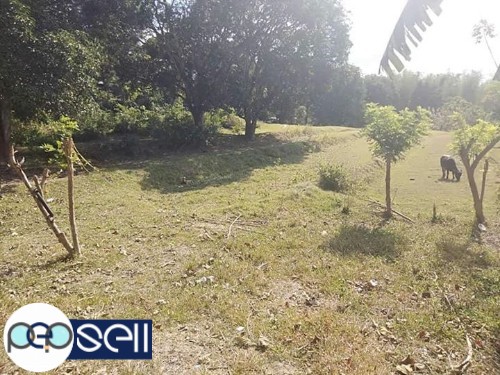 AGRI-RESIDENTIAL LOT IN BATANGAS FOR SALE 3 