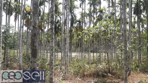 House with 6 acres of land in Wayanad 1 