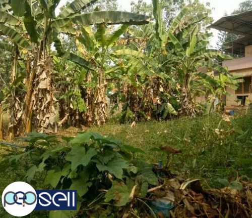 13 cent land for sale in Adoor Town 1 