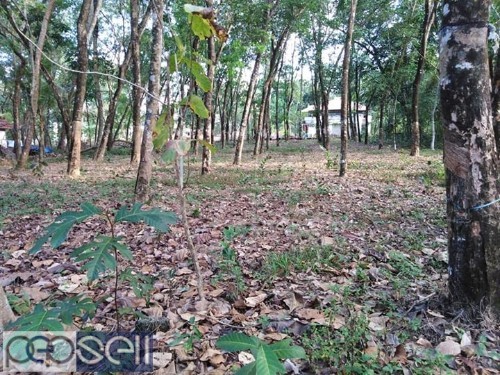 House plot for sale in kallara, kottayam 2 