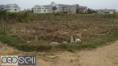Patta land sale in Puzhal Velammal engineering college back side 0 