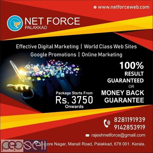 Net Force Web Designing and Digital Marketing Services Palakkad Ernakulam Calicut TVM All Kerala India 1 