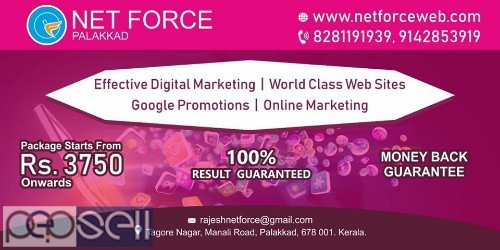 Net Force Web Designing and Digital Marketing Services Palakkad Ernakulam Calicut TVM All Kerala India 3 