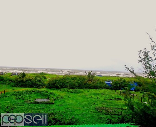 Beach plot for sale in Morjim Goa 0 