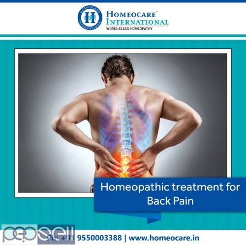 Homeopathy Hospitals in Mangalore 1 