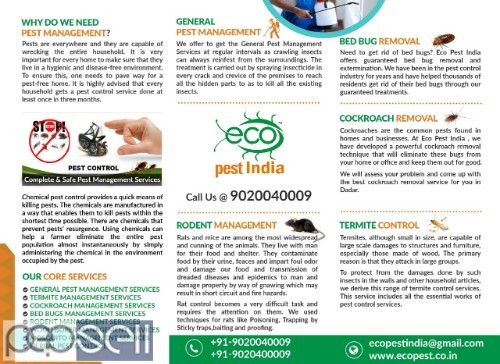 Pest control services &Termite control 0 