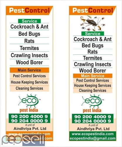 Pest control services &Termite control 3 